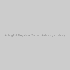 Image of Anti-IgG1 Negative Control Antibody antibody